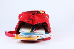 Property Solutions Backpack by APPRO and CERRON