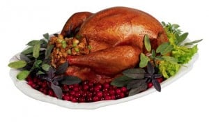 Happy Thanksgiving from APPRO & CERRON